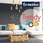 Śnieżka trendy 2015